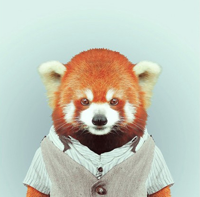 panda-rojo.jpg
