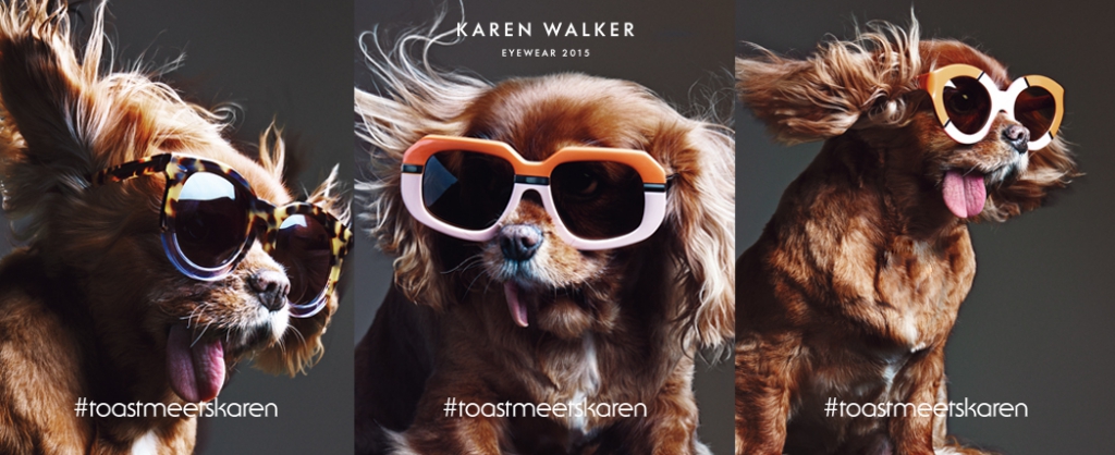 Karen Walker Eyewear feat. Toast, the dog