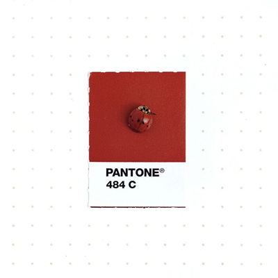 pantone-matching-system-everyday-objects-tiny-pms-project-inka-mathews-houston-texas-4