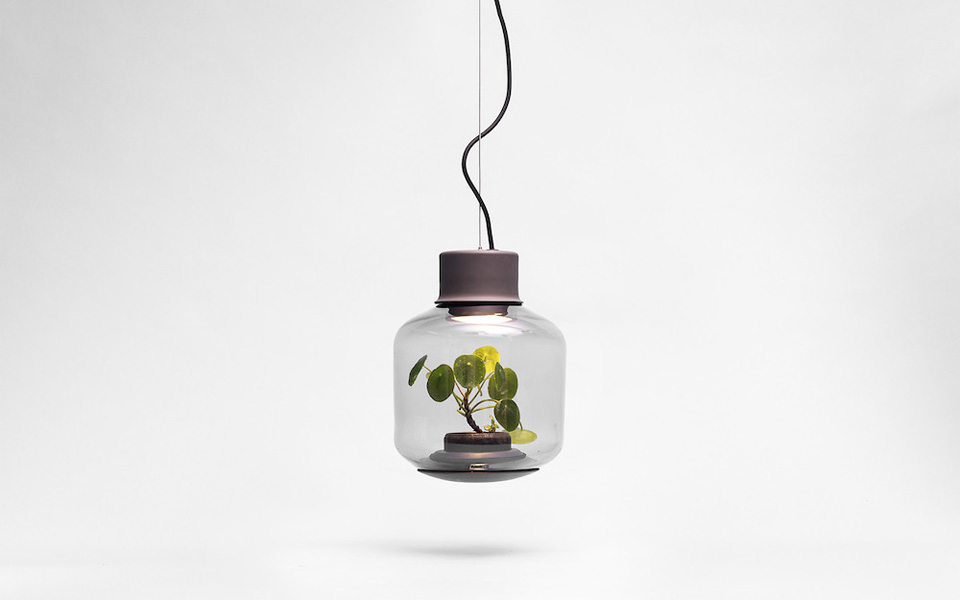 La lámpara terrario: un nuevo concepto de Nui Studio