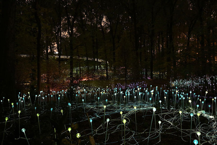 surreal-light-installations-field-of-light-bruce-munro-uluru-australia-7