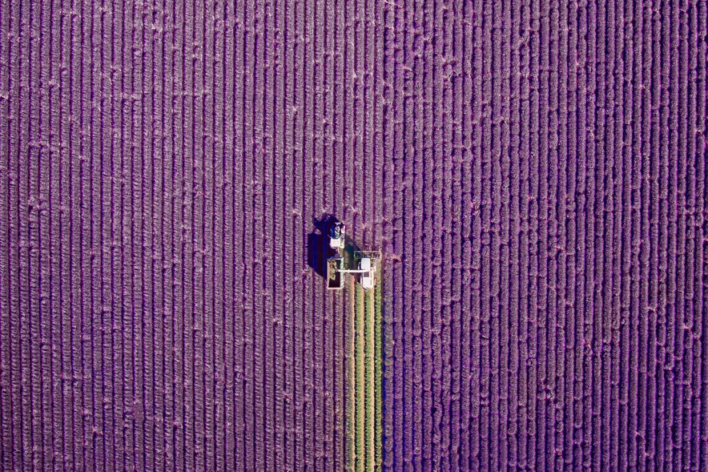 Las mejores imágenes del 2016 capturadas por drones