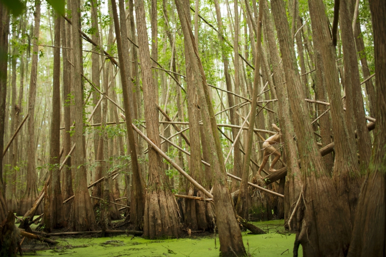 Fotos In Ditas De Ryan Mcginley V A Wetransfer Good B Lifestyle