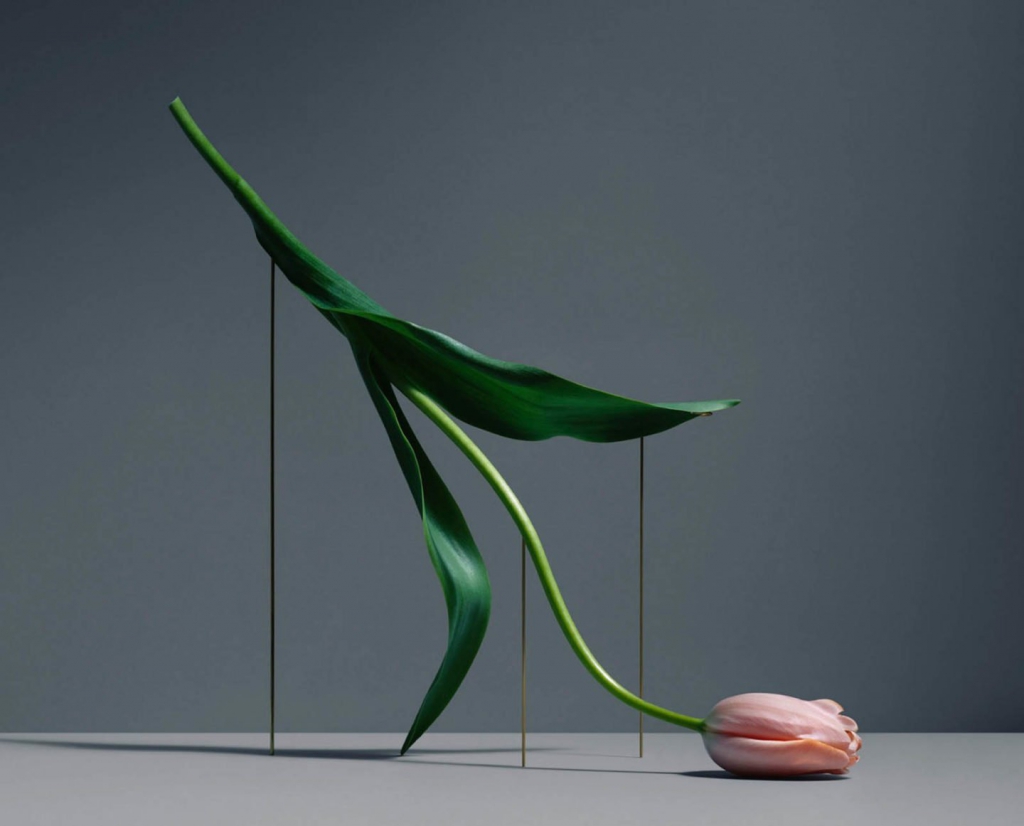 Los tulipanes flotantes de Carl Kleiner