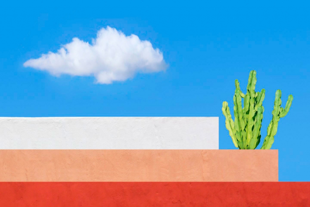 Collin Pollard: formas, colores y magia