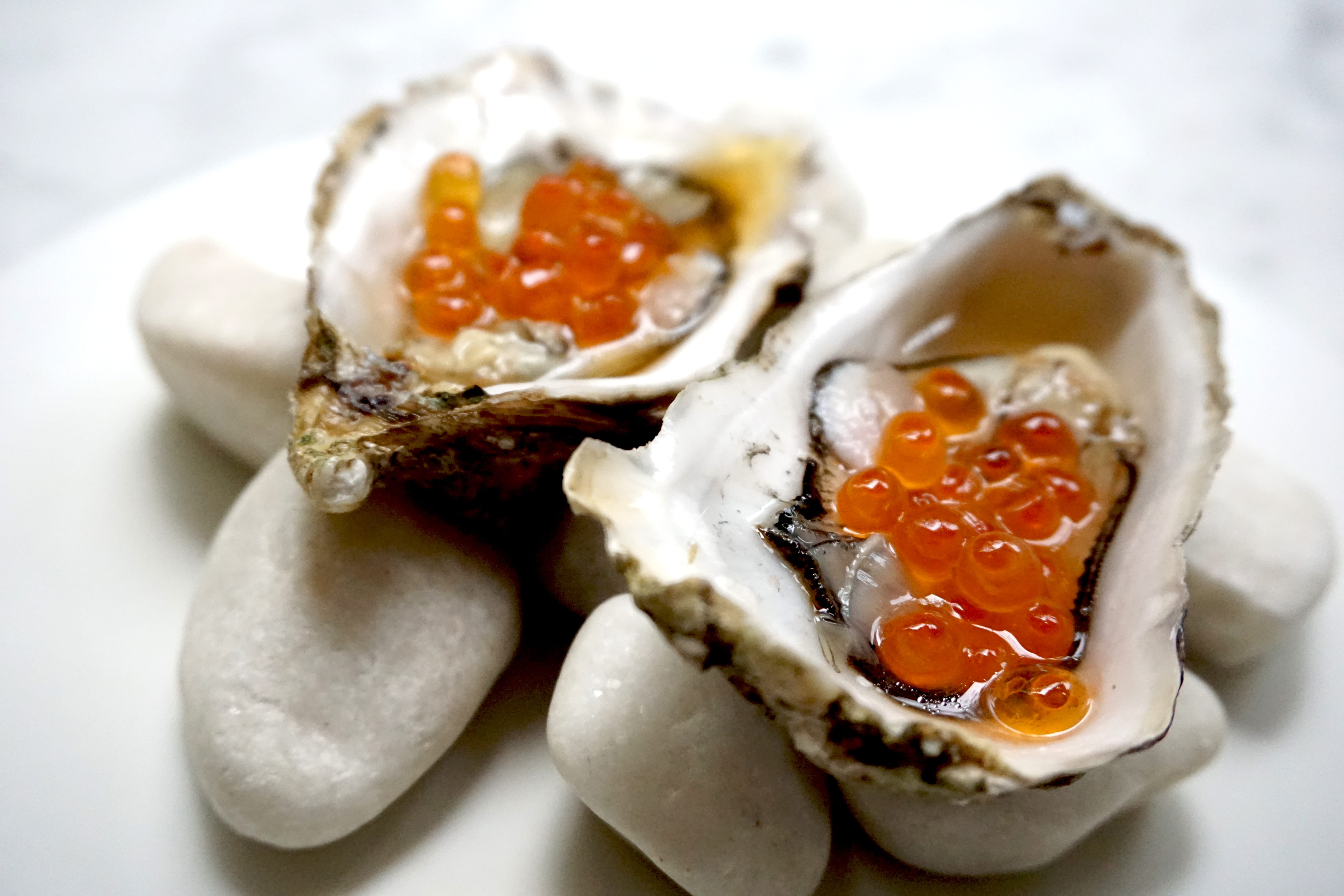 Oyster 71, cozy y moderno oasis de las ostras