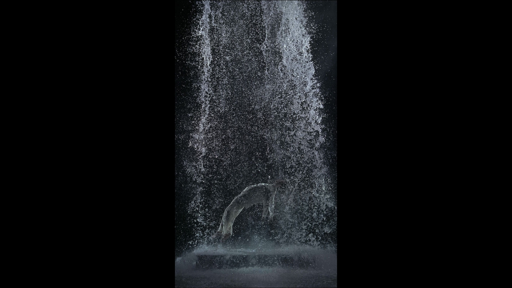 Bill Viola / Michelangelo: Life, death, rebirth