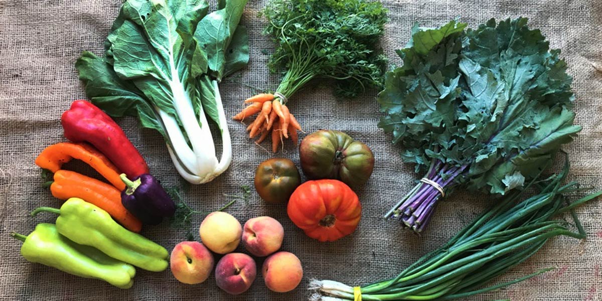 Cinco libros de recetas vegetarianas para romper con lo establecido en nutrición