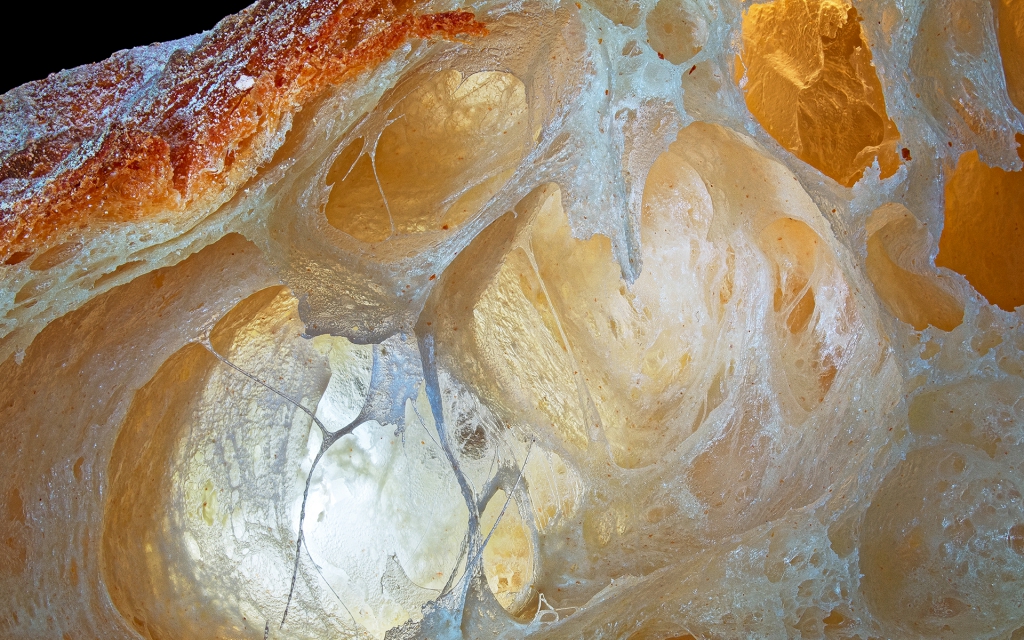 ‘Modernist Bread’: una oda al alimento más preciado del mundo