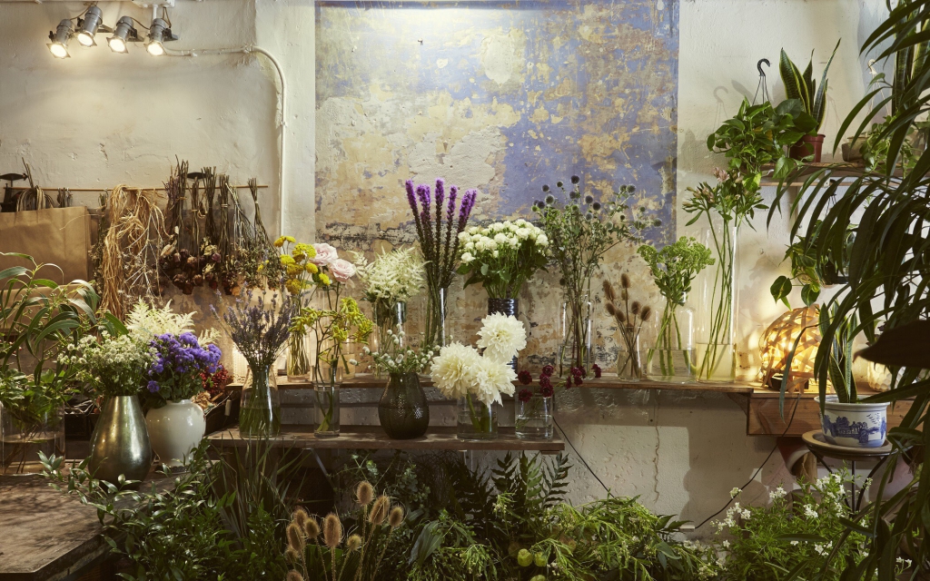 Flowerswill: los mensajes que revelan las flores
