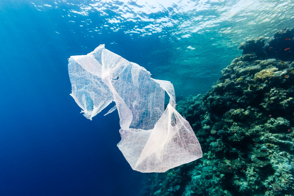 [ Ecologismo ] @byebyestraws y la sensibilización ecológica a través de Instagram