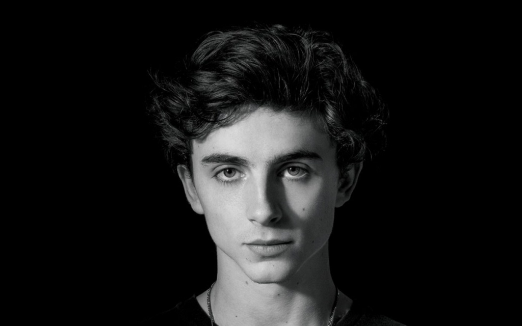 Grandes noticias: Timothée Chalamet debutará en un escenario de Londres el próximo abril