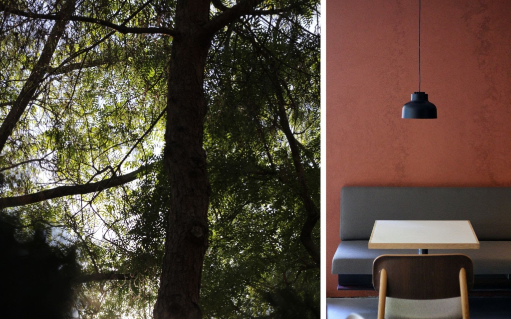 The Green Spot Diagonal, un templo gastronómico para ‘veggies’ y no tan ‘veggies’